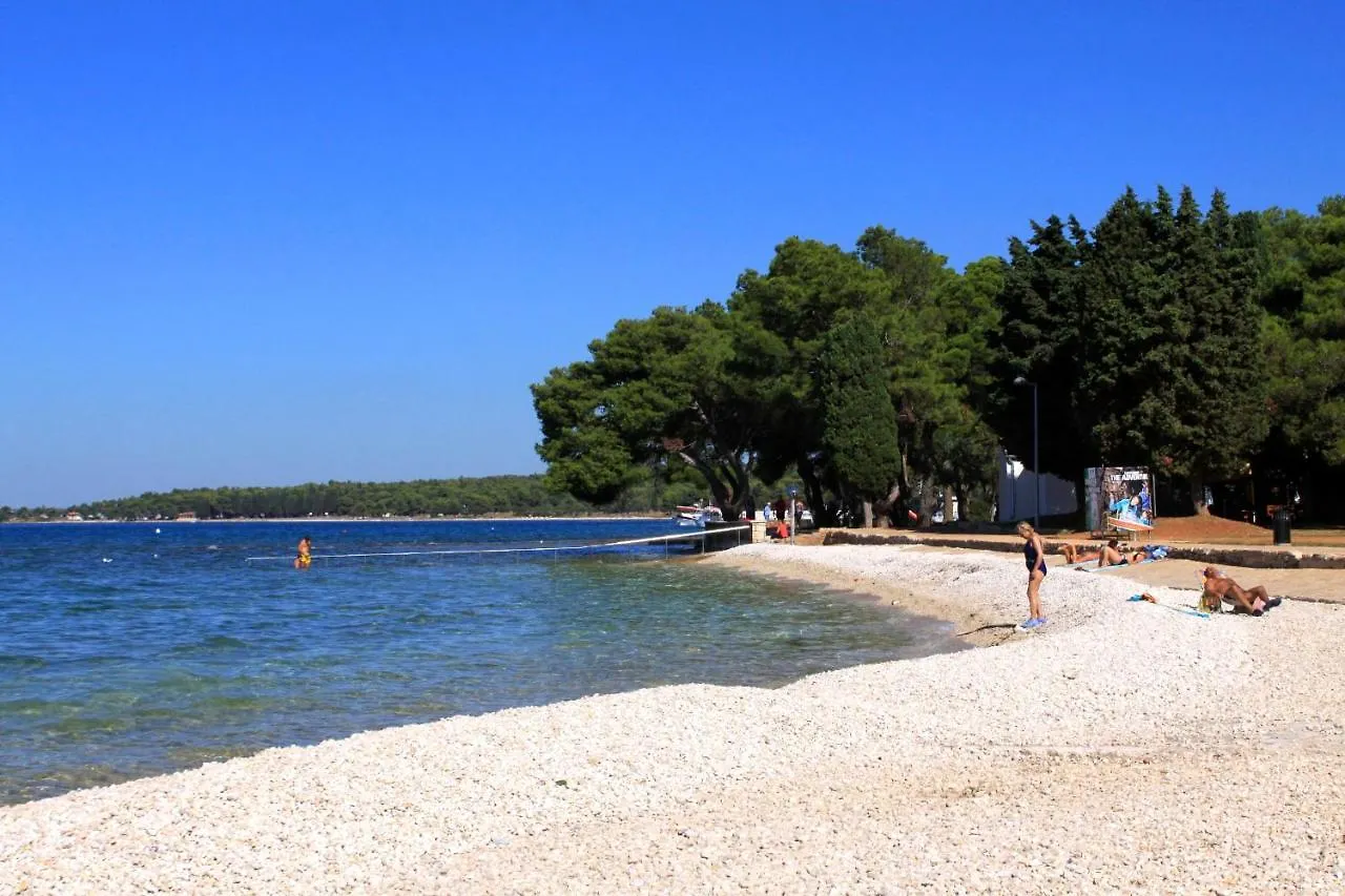 Family Friendly Apartments With A Swimming Pool Fazana - 19596 Croatia