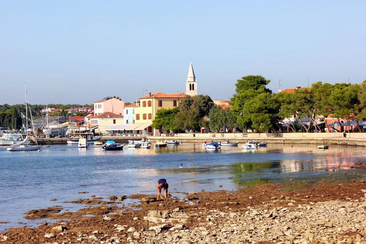 Family Friendly Apartments With A Swimming Pool Fazana - 19596 Croatia